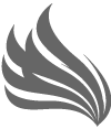 Wing